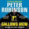 Gallows View by Peter Robinson Paperback Book 9781529086362