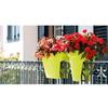 ARTEVASI Balcony Planter CAPRI - Anthracite Grey - 30 X 60 X H 30 Cm - 26.8L