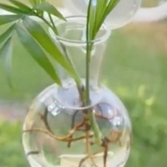 2 Pcs Wall Hanging Terrariums Planter for Hydroponics Plants Clear Propagation Station Wall Mounted Flower Vase for Home Office Living Room