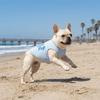Thin Breathable Dog Summer Clothes Soft Fabric Cooling Pet Vest Mesh Dog Vest  Casual Outfit