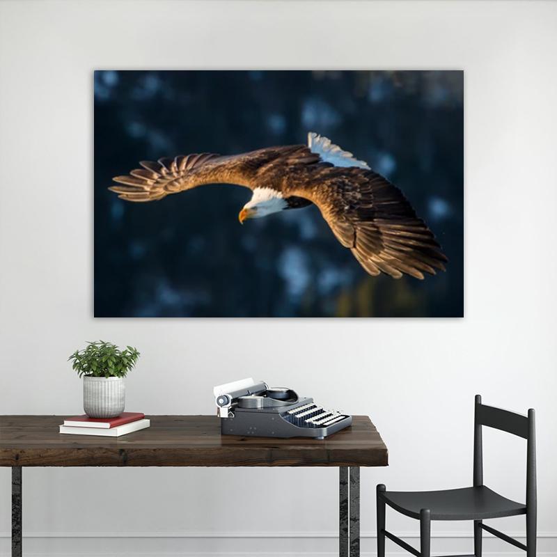 RELIABLI ART Obrazy na płótnie Latający orzeł Zdjęcia zwierząt Home Wall Art do salonu Plakaty i reprodukcje Dekoracja wnętrz