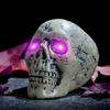2 Stück wasserdichte LED-Augen aus Kunststoff, leuchtend, für Halloween-Partys und andere Dekorationen im Innen- und Außenbereich