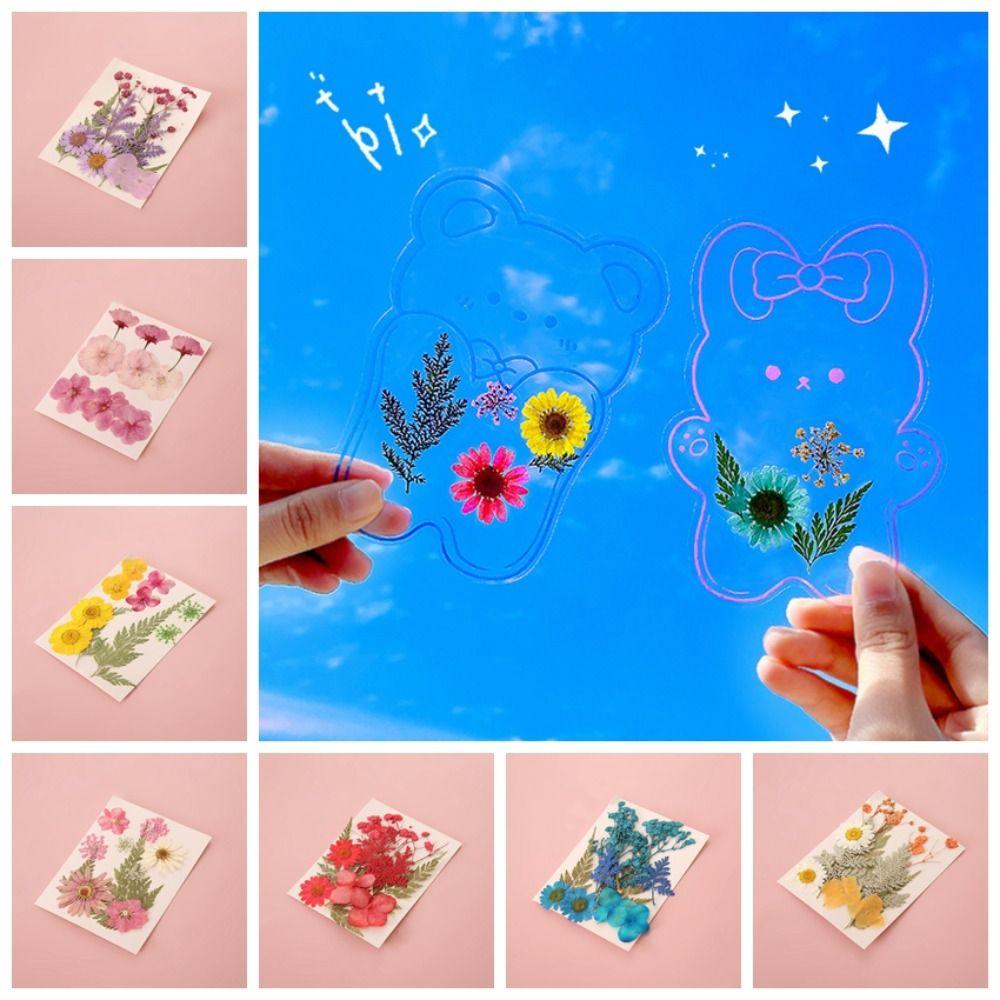 DIY Materials DIY Dried Flower Bookmarks Handmade Flower Page Bookmark Dried Flower Stickers  Kids