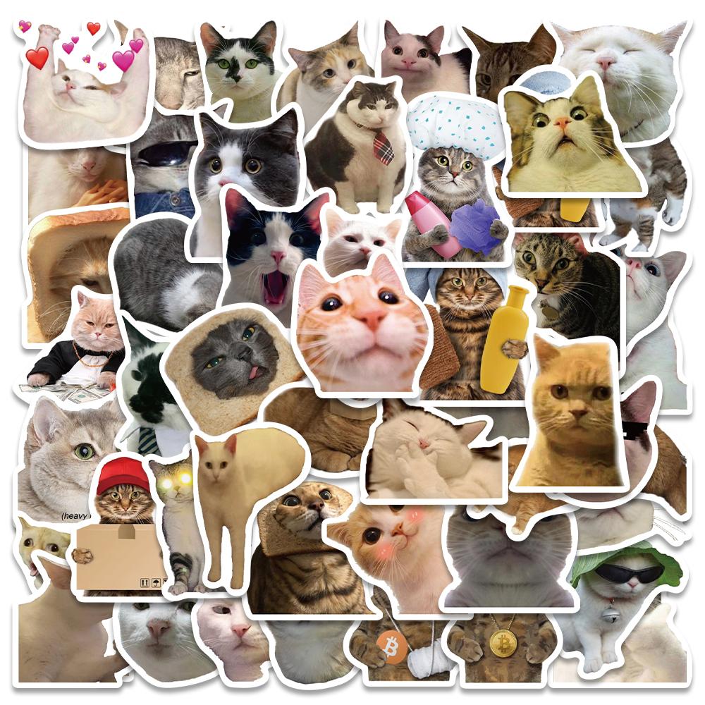 50 100150Pcspack Funny Meme Cat Cool Sticker Motorcycle Laptop Phone Suitcase Notebook Car Bottle Toy Trendy Decal Sticker Toy