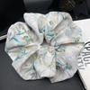 Korean Style Fashion Print Hair Tie for Women - High-End Niche Design with Simple Elegance
