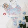 Set di Biancheria Intima Sexy da Donna Ricamato in Pizzo Europeo e Americano