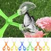 Insecte – Produse pentru îngrijirea insectelor