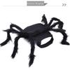 Funny Cute Halloween Spider Costume for Pets - Autumn Role-Playing Decoration
