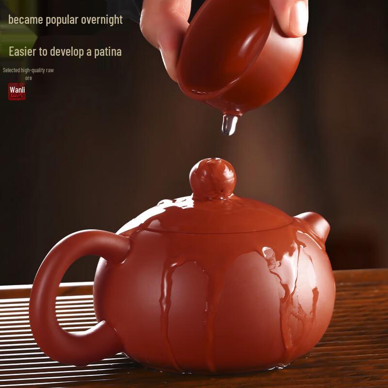 Xidomi Handmade Zhu Ni Zisha Xishi Teapot & Cups Set