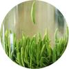 100g  Supreme Emei High Mountain Spring Zhu Ye Qing Bamboo Loose Leaf Green Tea