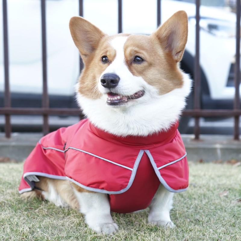 Dog Winter Raincoat Warm Waterproof Pet Coat Corgi Border Collie Small Medium Large Breeds