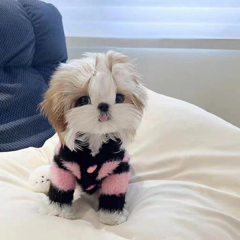 Pet Sweater Small Dogs Black Pink Striped Knit Pullover Fall Winter Cozy Outfit Maltese Shih Tzu Bichon Teddy