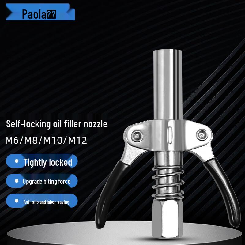 Paola High-Pressure Self-Locking Grease Nozzle