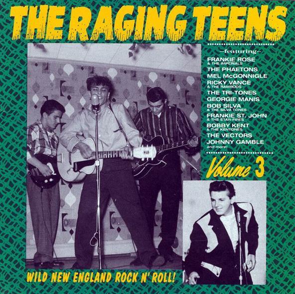 

CD VARIOUS - The Raging Teens Volume 3 CED228 Norton Records 1992 US Rock Used