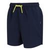 Regatta Childrens/Kids Skander III Plain Swim Shorts