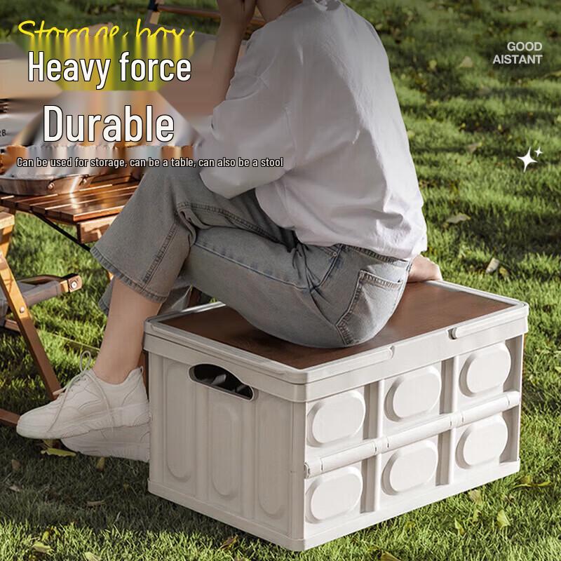 30L Collapsible Portable Storage Organizer