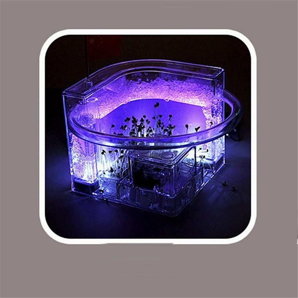 DIY Luminous Small Pet Living Boxes, Ant Workshop, Ant Villa, Workshop, Home Castle, Ant Farm, Children ToysDIY