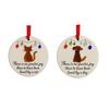 Sea Glass Art Animal Ornament Handmade Seaglass Dog Cat Memorial Hanging Ornaments Christmas Tree Pendant Keepsake Gift