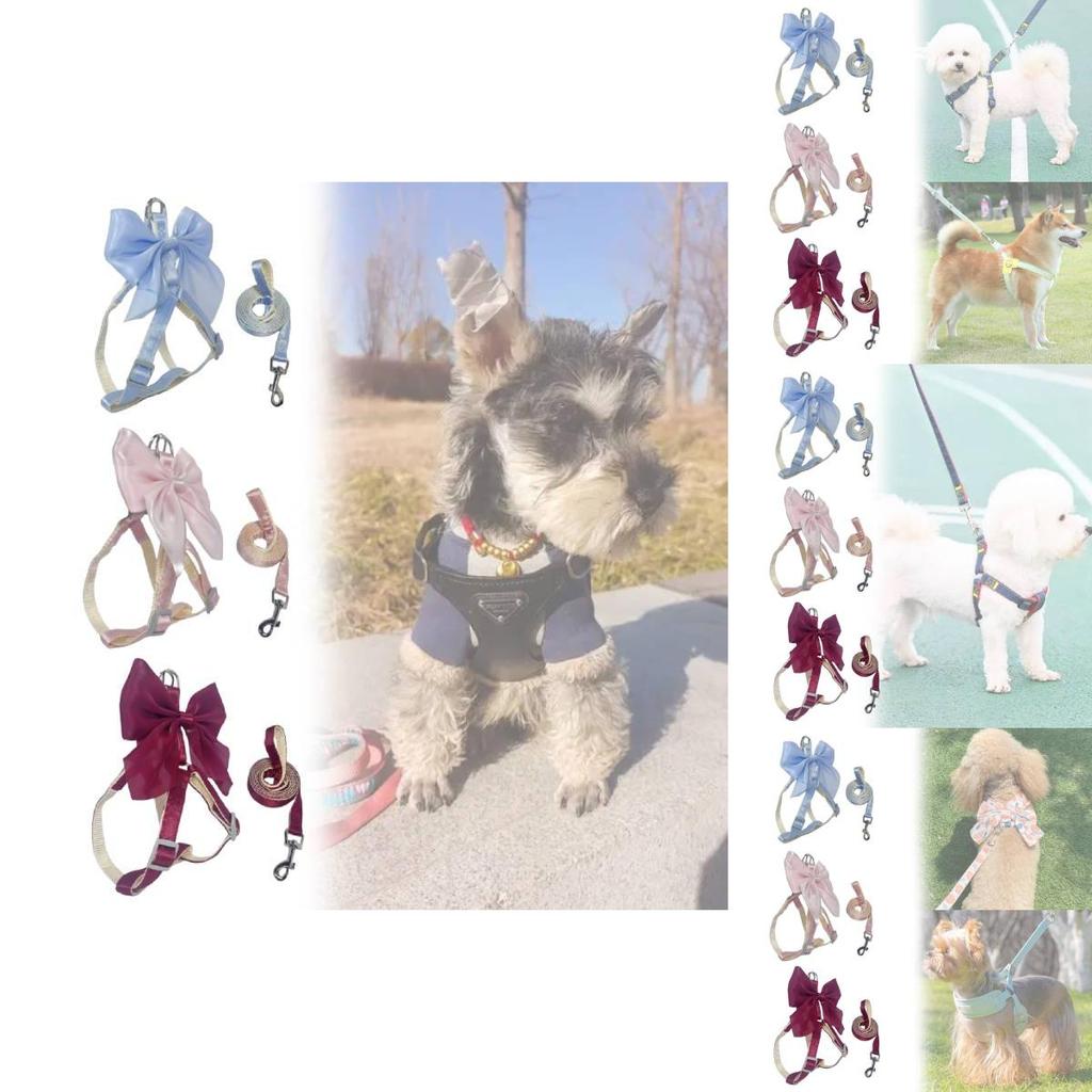 Pet Dog Leash Set With Bright Silk Large Bowknot Chest Harness For Small Dogs And Cats