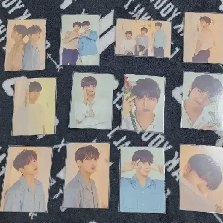 

Bts Bts Rubselcon Rubsell Mipo Mini-foca