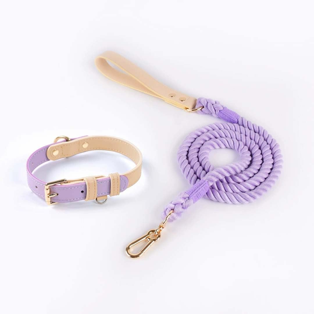 

PetGround Dog Lead Collar Leather Small Dog Stylish Leather Cute Pastel Colors Lost Dog Tag Lightweight Strong Durable Dog Collar Lead (Purple, 120cm) фиолетовый
