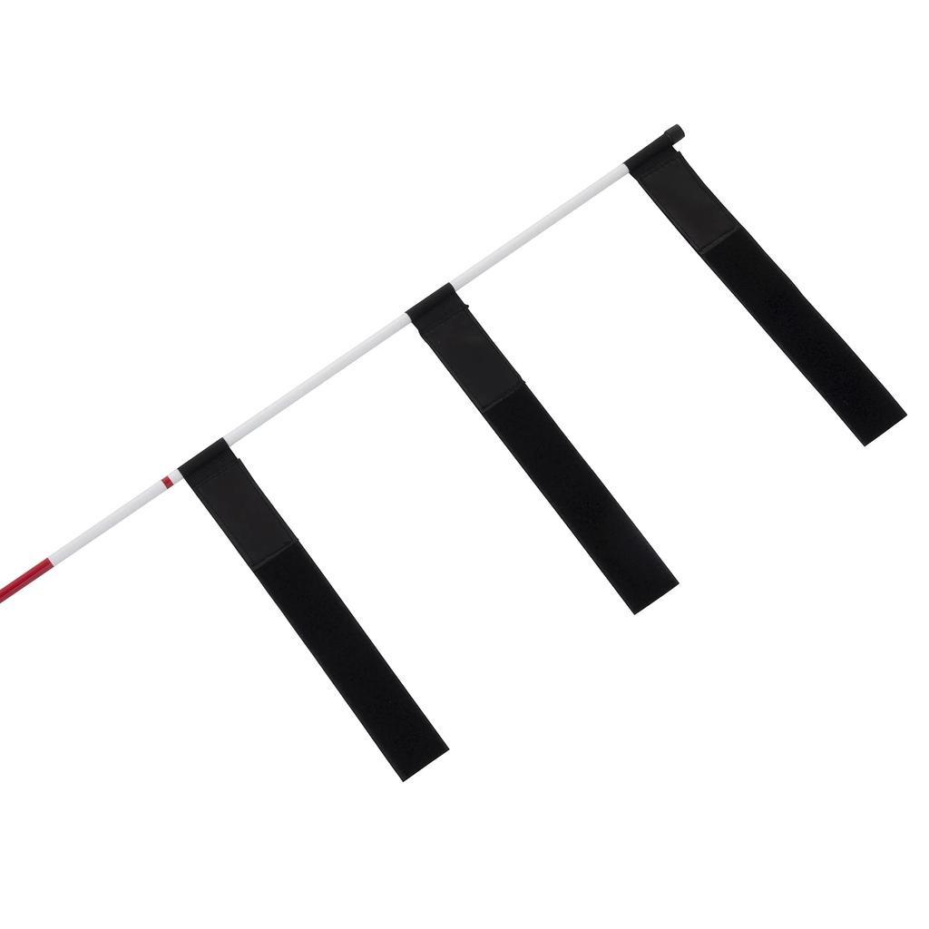 MIKASA Soft Volleyball Antenna of Storage SOFT-AT (Set 2) (Includes Case)