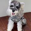 Breathable Striped Summer Vest for Small Dogs: Schnauzer, Yorkshire Terrier, Teddy