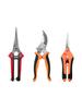 Pruning Shears: Multi-Use Garden, Grape, & Floral Scissors for Fruit Trees & Landscaping