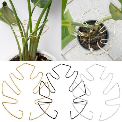 Plant Stem Support Metal Monstera Clamp Plant Support Plant Stem Holder Monstera Stabilizer Grapple Holder for Climbing Plants