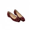 2025 Autumn New Single Shoes Thick Heel Mary Jane Single Shoes Women Ol Commuting