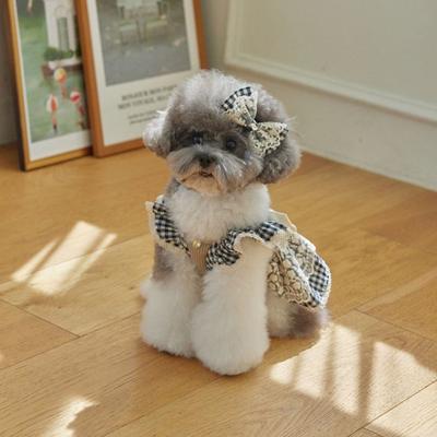 Giyim ve ayakkabı – Köpek elbiseleri