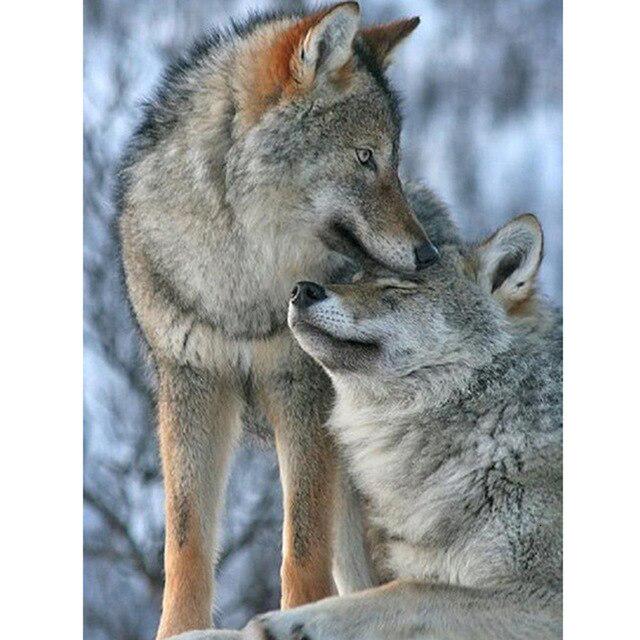 Wolf DIY 5D Diamond Painting Full Round Resin Rhinestone Mosaic Animal Paintings Diamond Embroidery Cross Stitch Home Decor