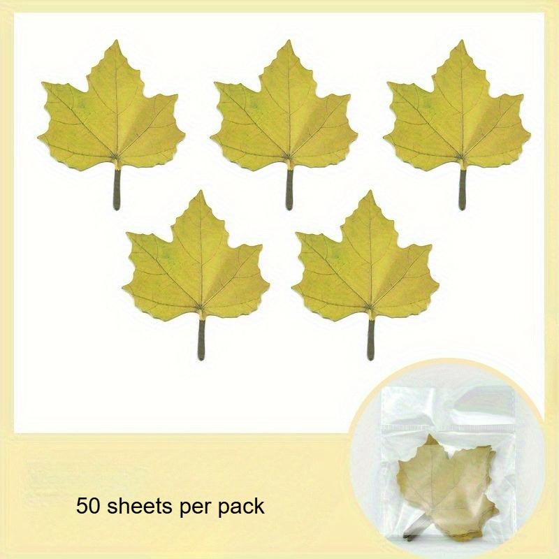 50pc/pack Autumn Leaves Decorative Stickers - Office Supplies, Notebook Stickers, Convenience Stickers, Simulated Leaf Design
