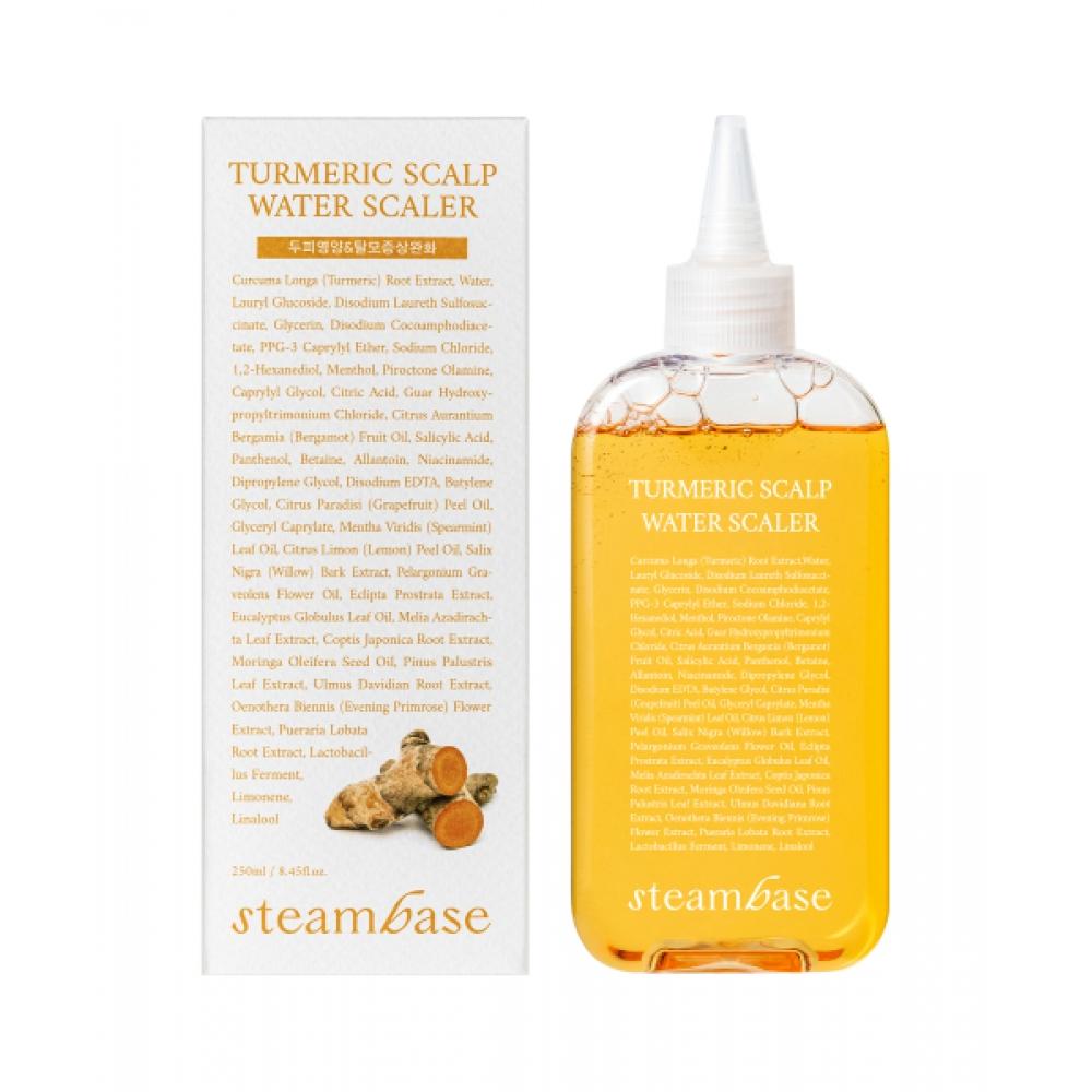 Steambase Hair Loss Treatment Scalp Strengthening Turmeric Scaler 250ml