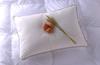Danfill Fiber Pillow with Premium Satin Pillow Cover, White, Standard Size (JPA221-AKF01G)