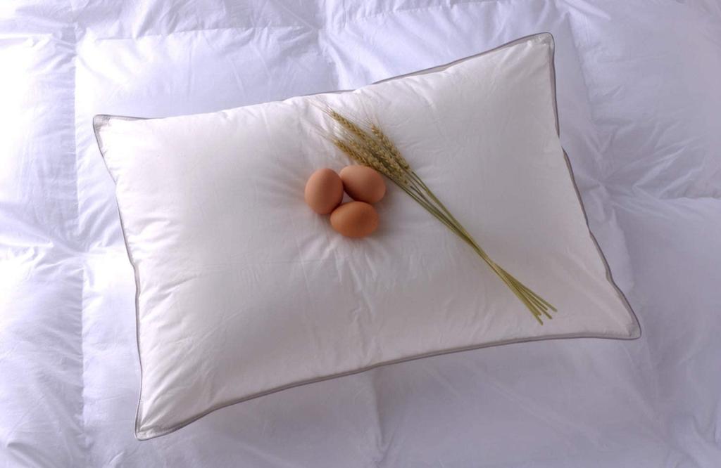 Danfill Fiber Pillow with Premium Satin Pillow Cover, White, Standard Size (JPA221-AKF01G)