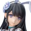 Alphamax (ALPHAMAX) SKYTUBE Enjo Musume Genmutan Ping-Yi Bunny Ver. Illustration by Tony 1/4 Scale PVC Pre-painted Complete Figure AX-1202