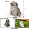 Solid Cute Animal Models: Squirrel, Shiba Inu, Teddy, Hamster, Panda, Flying Squirrel Car/Desktop Ornaments