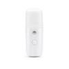 Face Sprayers Nano Spray Mist Facial Steamer Humidifier Hydrating Water Portable