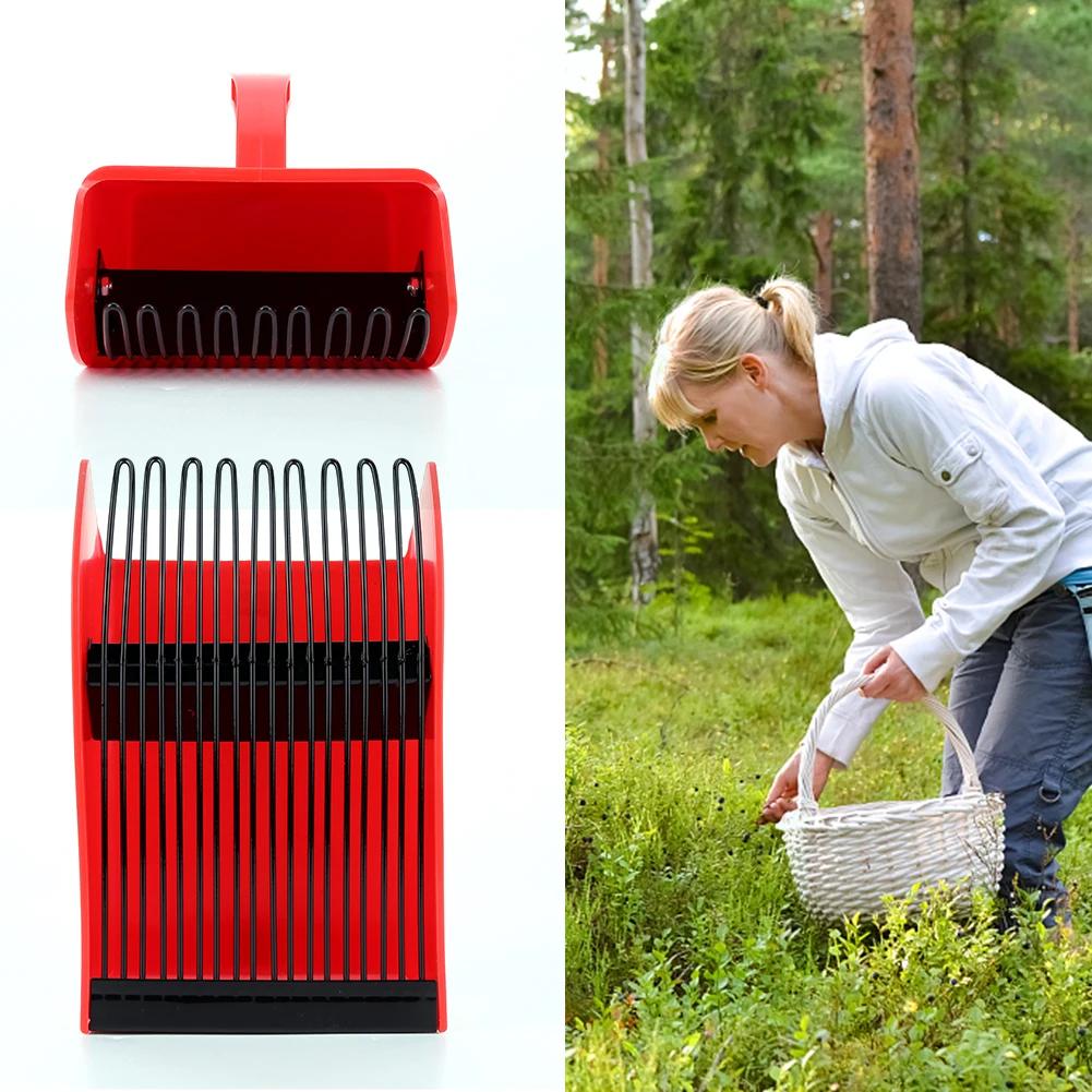 Raccoglitrice di bacche a risparmio di manodopera: Raccoglitore di Mirtilli e Frutti di Bosco con Pettine in Metallo/Plastica, Rastrelli da Giardino per la Raccolta delle Bacche