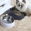 Anti-slip Stainless Steel Cat and Dog Bowls - Elevated Slanted Feeding Bowl with Neck Protection