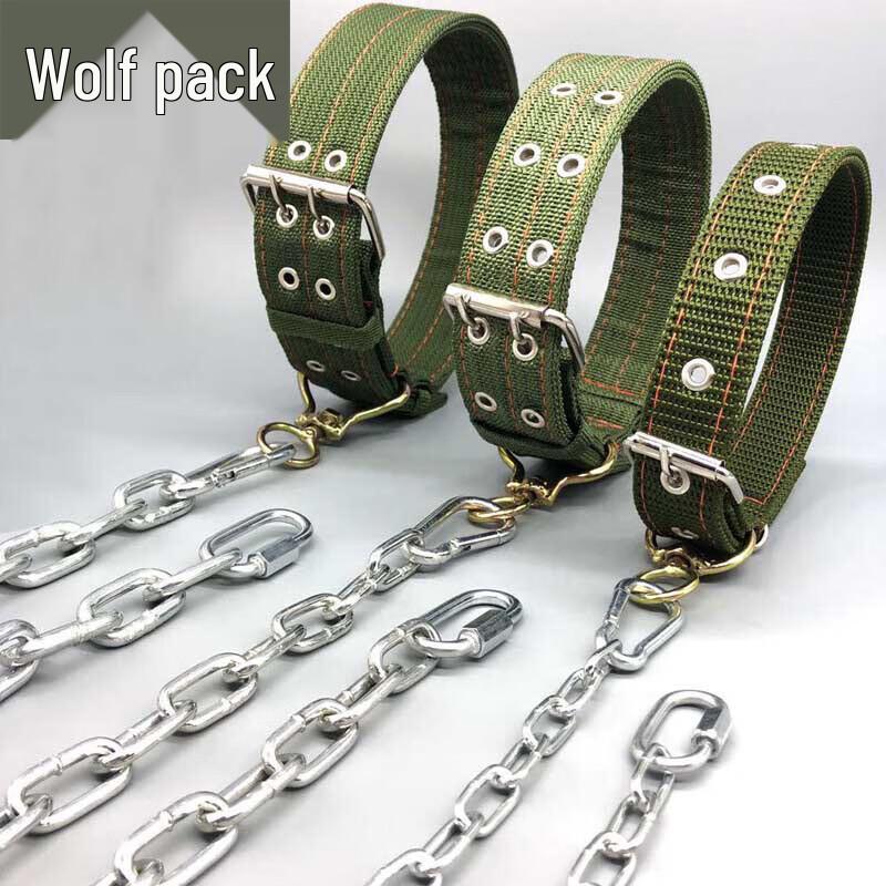 Heavy-Duty Stainless Steel Dog Chain