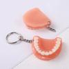 Resin Tooth Model Shape Keychain Purse Handbags Charm Pendant Denture Keychain