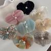 Side Clip Acetic Acid Hairpin Floral Korean Style Flower Duckbill Clip Butterfly Orchid Hair Accessories Fresh Barrettes