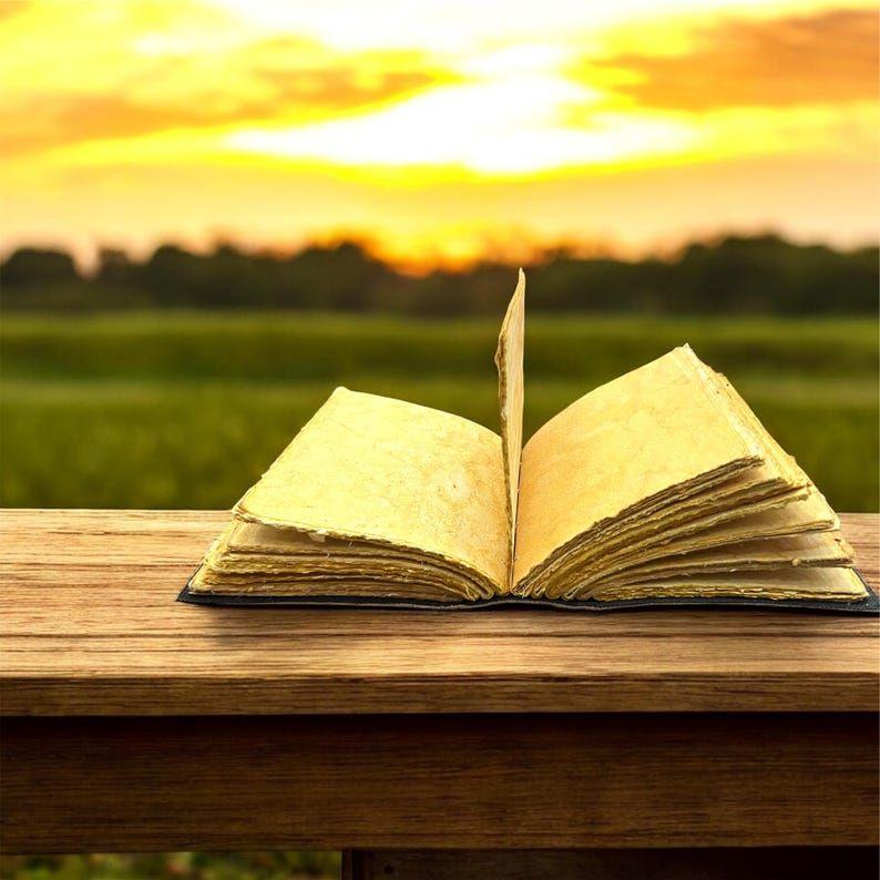 Phoenix Art Leather Journal | Vintage Handmade Diary with Antique Lock