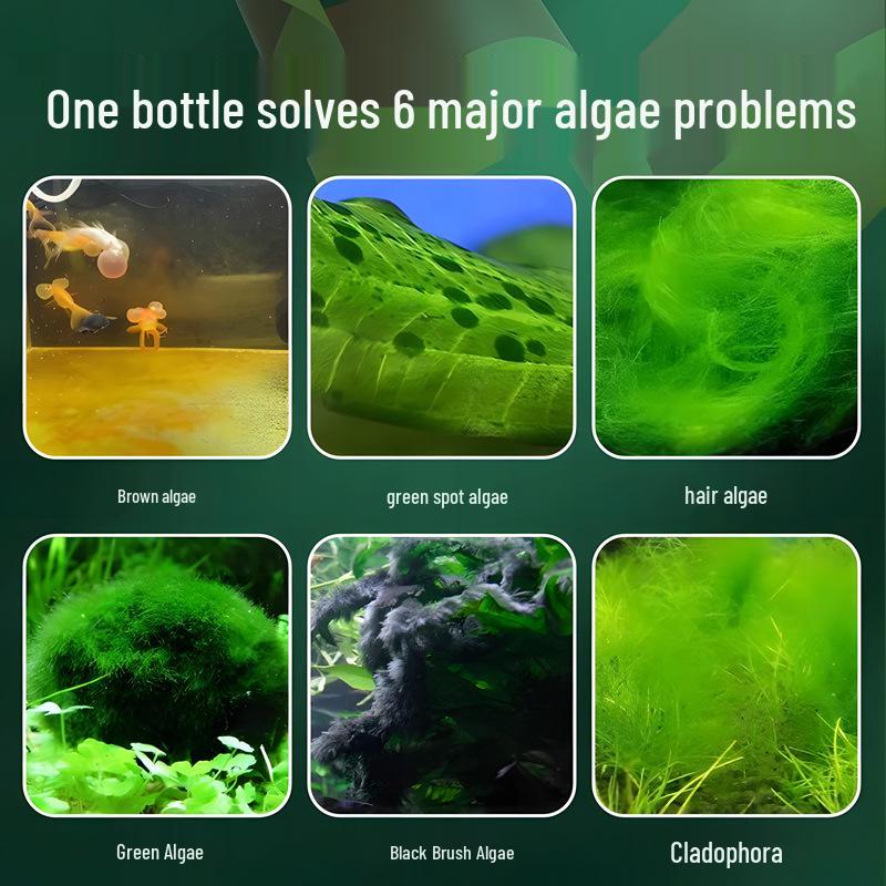 Aquarium Water Purification Tablets: Algae Removal & Soft Water Salt Granules for Fish Tanks