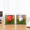 Custodia Trasparente per Palline da Golf Protezione dalla Polvere Scatola Acrilica per Palline da Golf Oggetti da Collezione