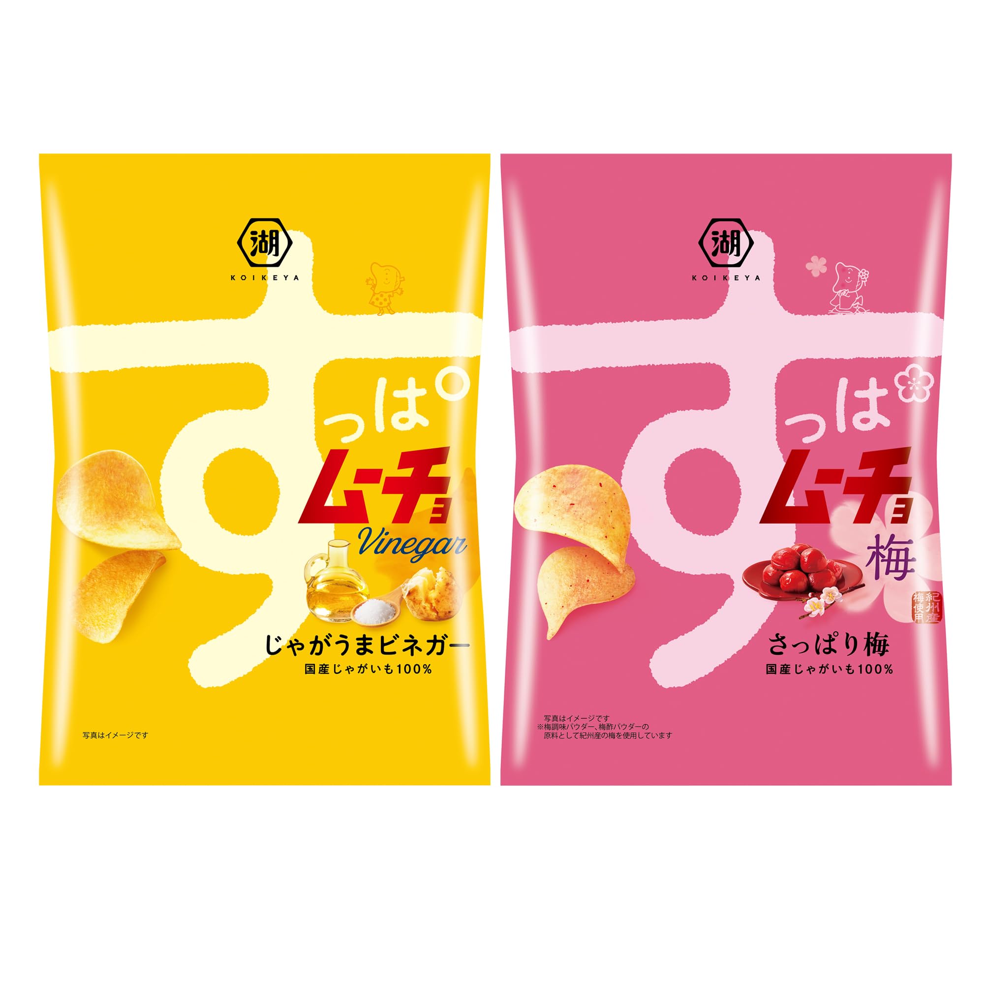 

Koikeya Suppa Mucho 12 Bags in Total 2-Variety Assortment,