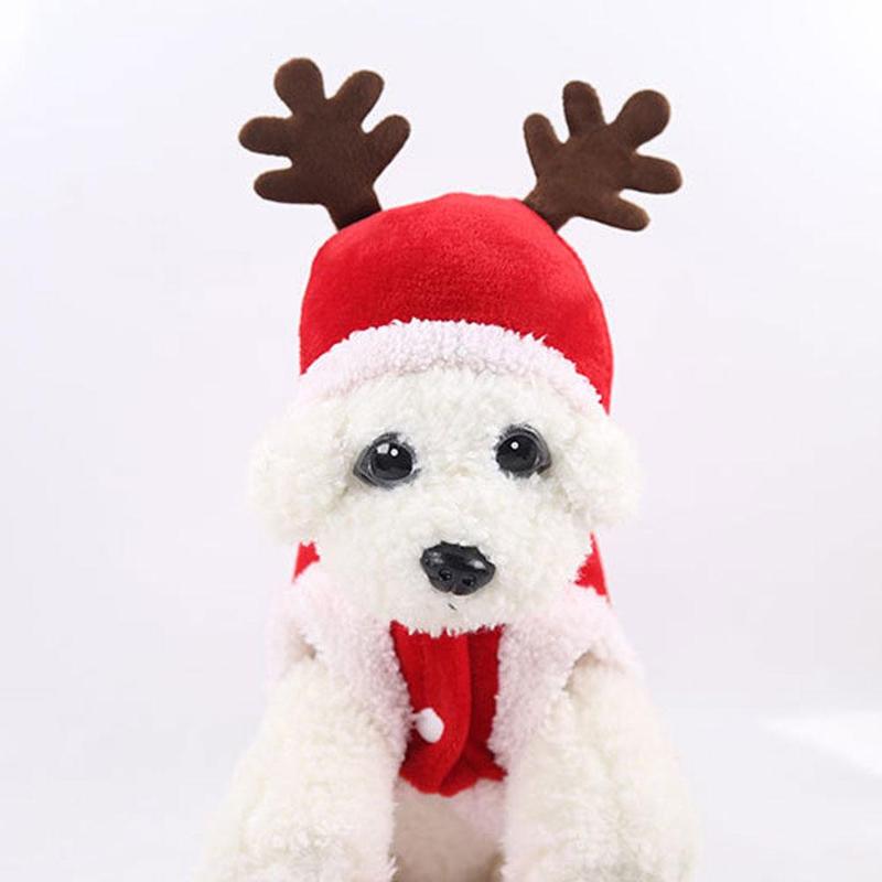 dachshund santa costume