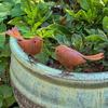 Metal Bird Decor Outdoor Durable Garden Bird Decor Rust-Resistant Iron Lawn Bird Decor Metal Bird Gift